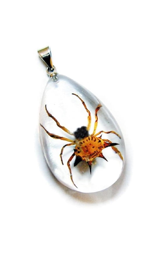 SD1102 Real Bug Necklace-Spiny Spider