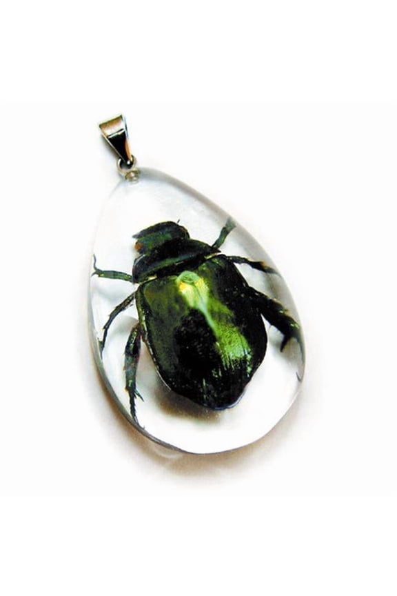 SD1105 Real Bug Necklace-Chafer Beetle