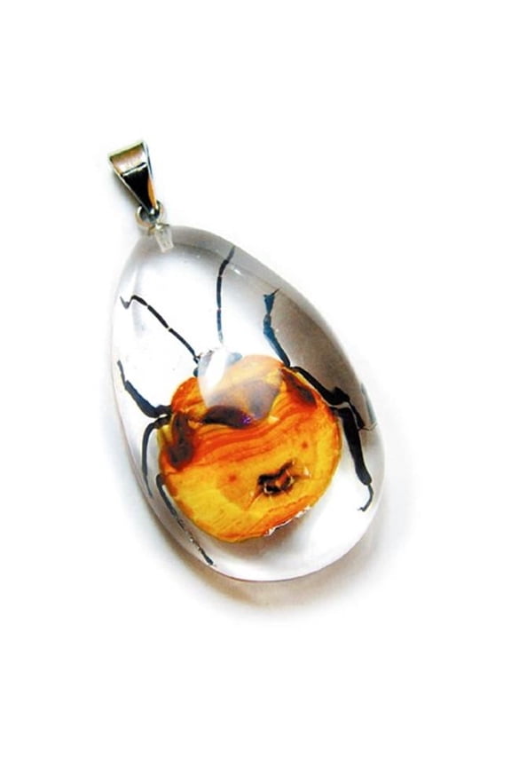 SD1106 Real Bug Necklace-Red Bug