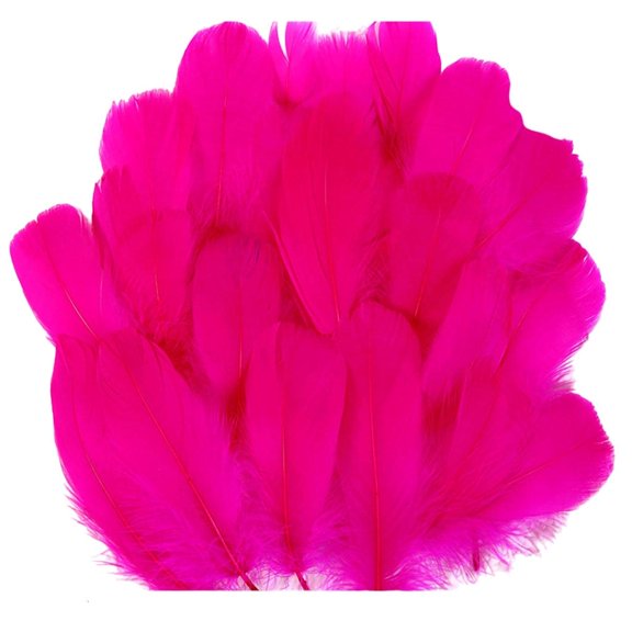 SDFGTstore 100pcs Multipurpose Craft Feathered Ornament For DIY Projects Including Dream Catchers Earrings And Party Decors