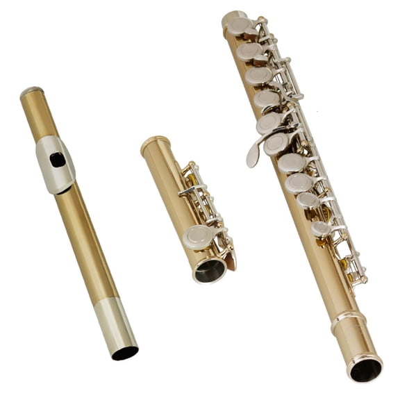 SDFGTstore 16 Closed Holes Flute C Key Flute Concert Performances Flute Woodwind Instrument