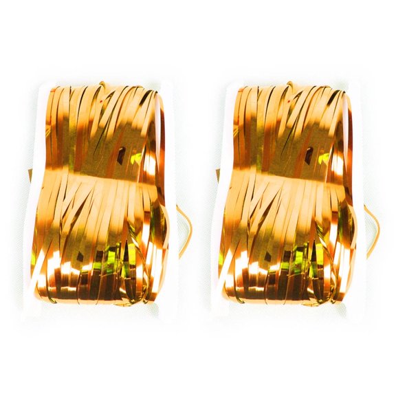 SDFGTstore 2Pcs Foil Fringes Backdrops Party Decoration 3.28x6.56ft For Wedding Birthday