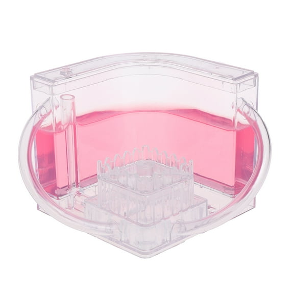 SDFGTstore 3D Ant Farm Educational Maze Live Feeding System Ants Habitat World Pet Villa