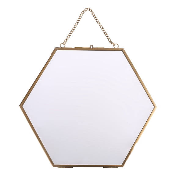 SDFGTstore Hexagon Floating Hanging Photo Frame Metal Glass Portrait Picture Plant Specimen