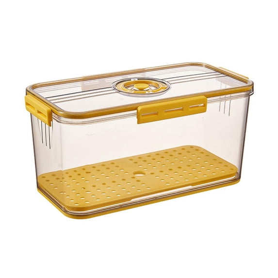 SDFGTstore Plastic Food Storage Box Container with Lid and Drain Tray Timing Function Fridge Produce Saver Refrigerator Organizer