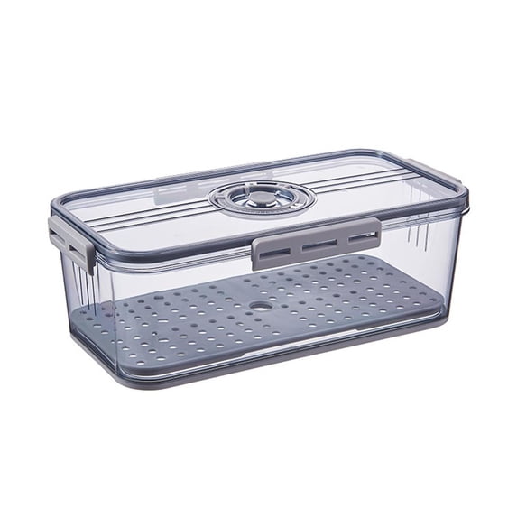 SDFGTstore Plastic Food Storage Box Container with Lid and Drain Tray Timing Function Fridge Produce Saver Refrigerator Organizer