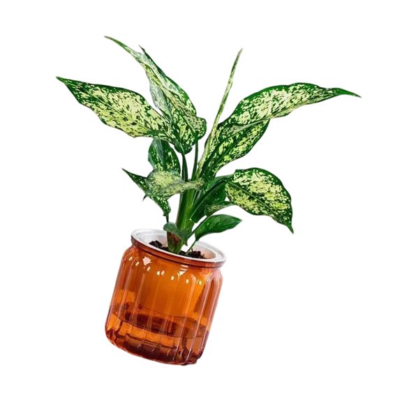 SDFGTstore Self Watering Flowerpots Planter Table Vase for Various Inner Decoration Setting