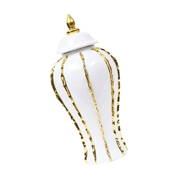 SDFGTstore Stylish Ceramics Storage Jar for Kitchen or Bedroom Organization Porcelain Vases