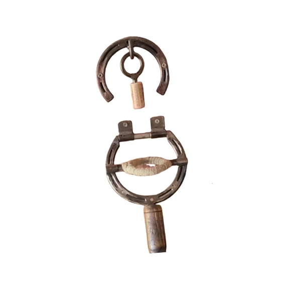 SDFGTstore Wall Art Decors Horseshoe Wine Bottle Opener Antique Industrial Farmhouse Functional Decors Corkscrew Kitchen Bar Gift