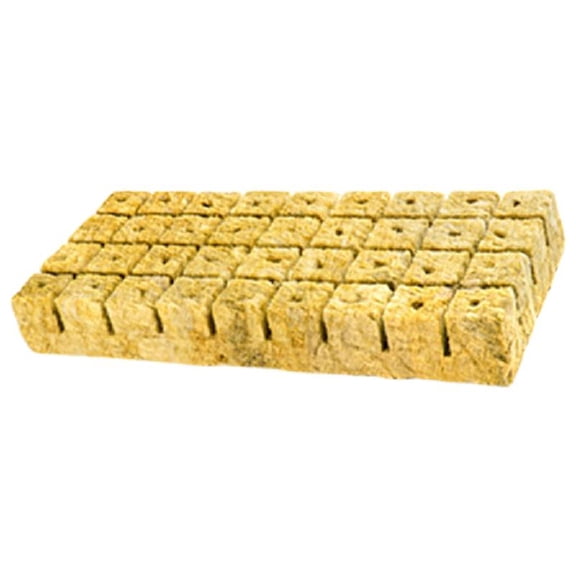 SDFGTstore Water Retentive Horticultural Slabs Perfect for Home Balcony & School Laboratory