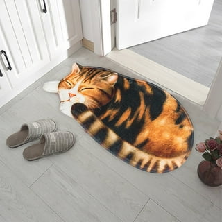 Fried Cat Doormat Creative Black Cat Rug Soft Fluffy Bath Rugs Non Slip  Carpet Bathroom Home Living Room Mat Room Mat Outdoor Washable Rug