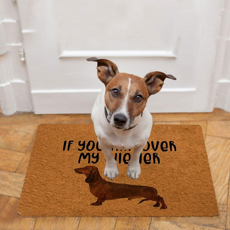Outdoor dog doormat new arrivals