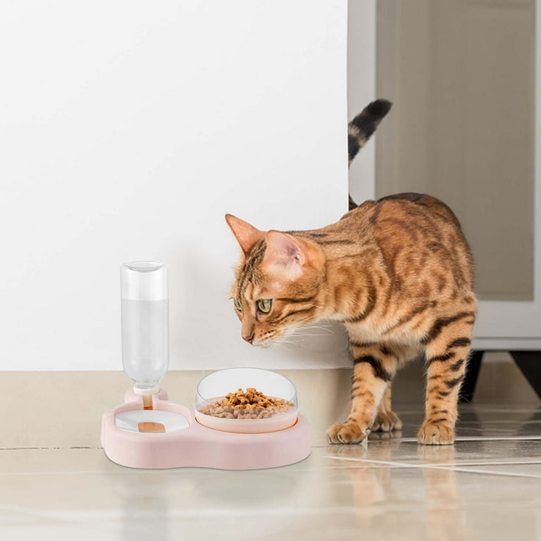 Automatic food outlet bowl for cats