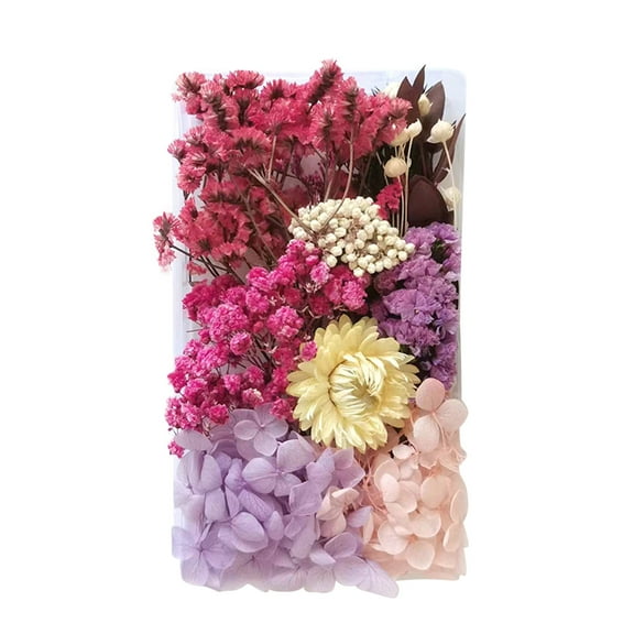 SDJMa Dried Pressed Flowers for Resin Mold, Natural Dry Flower Dry Leaves Bulk Kit for DIY Art Crafts Candle Jewelry Making Nails Soap Candle Floral Decoration