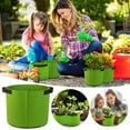 thumbnail image 1 of SDJMa Fabric Plant Grow Bags with Handles 1 Gallon , Heavy Duty Nonwoven Smart Garden Pot Thickened Aeration Nursery Container Black for Outdoor Potato, Tomato, Chili, Carrot and Vegetables, 1 of 7