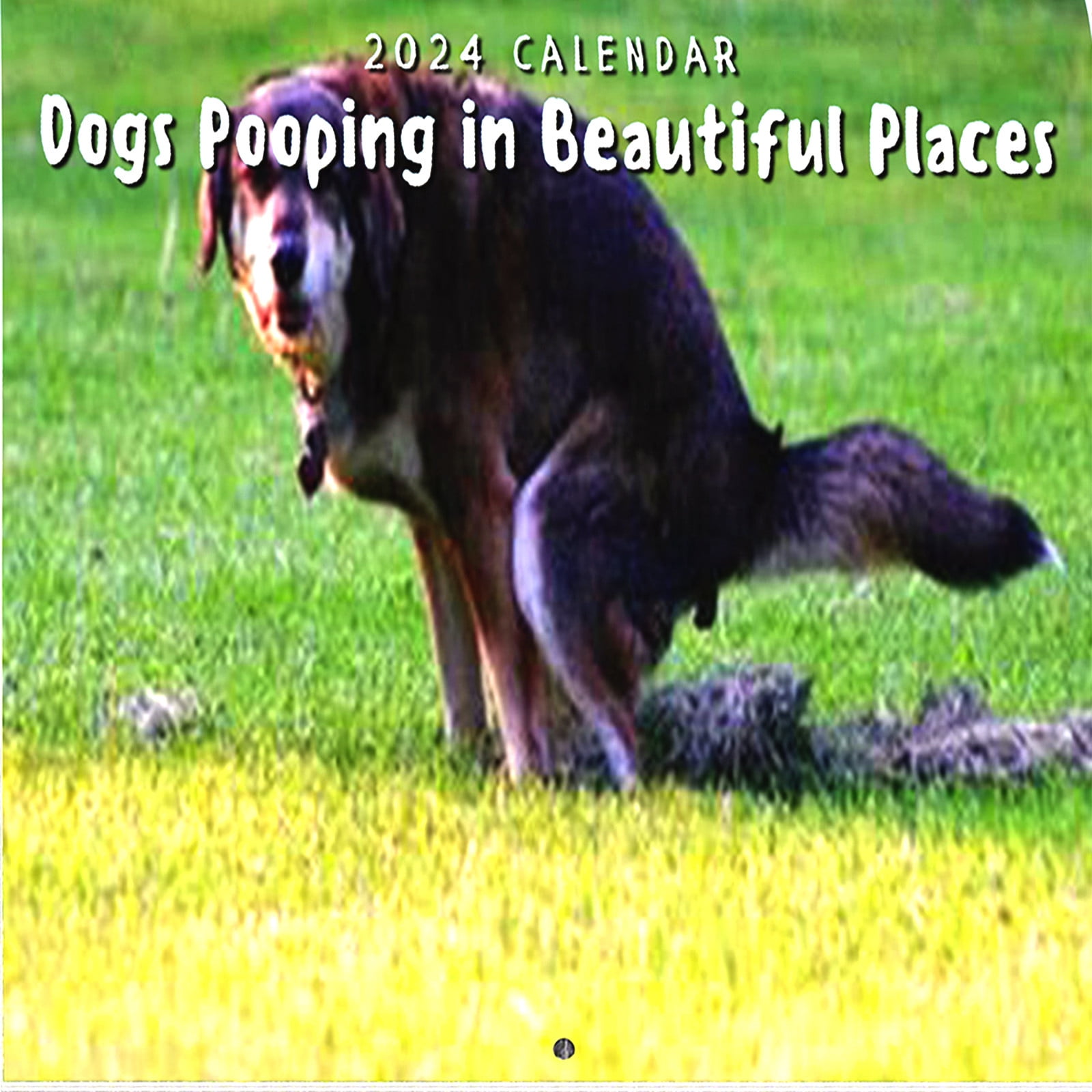 SDJMa Pooping pets 2024 Calendar for Dogs Lovers Perfect Joke Prank