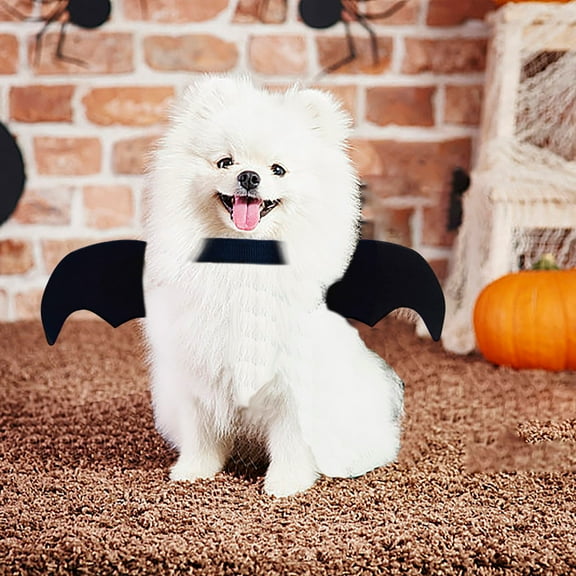 SDNall Dog Halloween Costumes, Funny Halloween Costumes, Dog Costumes for Small Dogs, Halloween Funny Pet Bats Clothes Dog Small Dog Cats Dog Change into Costume, Small Dog Halloween Costumes