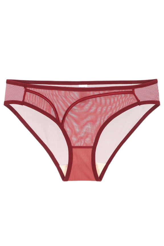 Women's Lace Underwear, French Thin Low Rise Bikini, Soft Mesh Hipster Panties with Cotton Liner for Comfort