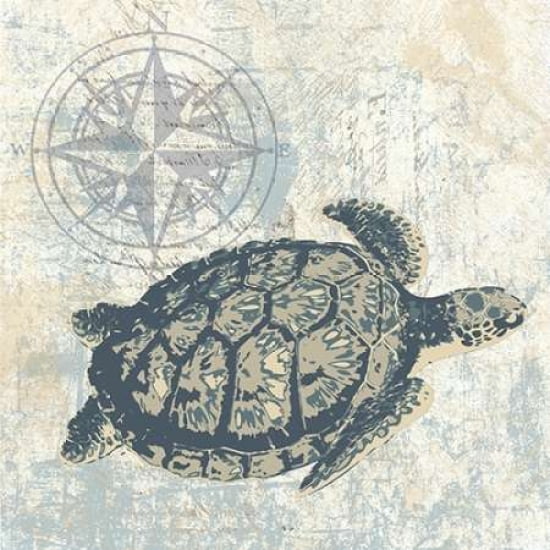SEA FRIENDS II Canvas Art - Piper Ballantyne (24 x 24)