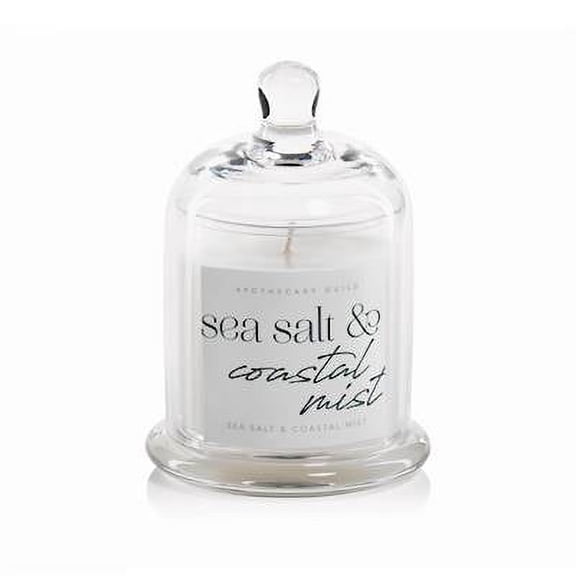 SEA SALT and COASTAL MIST Zodax Apothecary Guild 10 oz Dome Jar Scented Candle