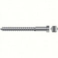 thumbnail image 1 of SEACHOICE Lag Screw 1/4 x 5 SC5768, 1 of 1