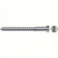 thumbnail image 1 of SEACHOICE Lag Screw Color:, Size: 3/8 x 3-1/2", Option: 10/BG, 1 of 1