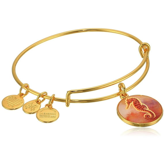 SEAHORSE ART INFUSION Charm Bangle Shiny Gold New WithTag Card & Box