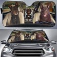 SEANATIVE Dogs Driving Front Windshield Sun Shade Accordion Folding