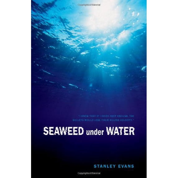 Pre-Owned SEAWEED UNDER WATER (Touchwood Mystery) Paperback