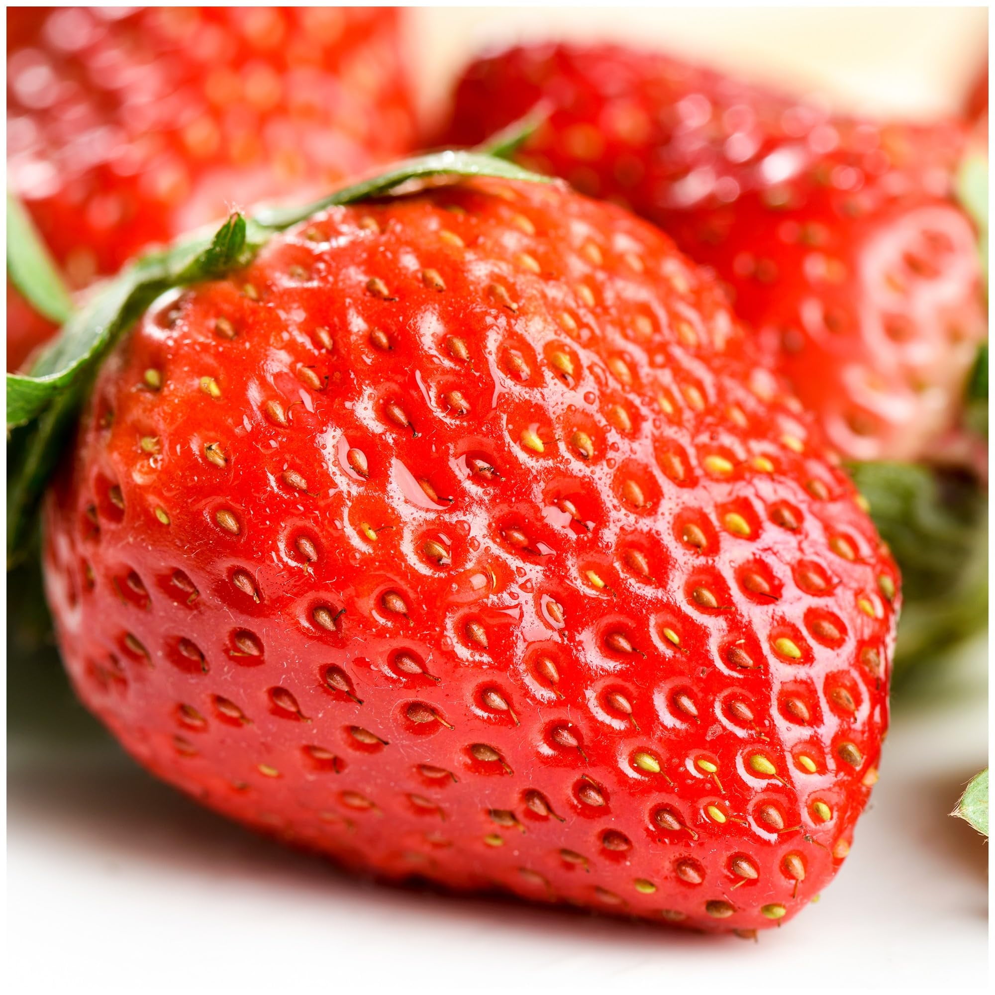 SEBIOLA Juicy Strawberry Seeds Variety Pack MVR1 300+ - Non-GMO Heirloom  Strawberry Seeds for Planting Indoor-Outdoor Home Garden, Farm