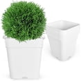 thumbnail image 1 of SEBLAFF 10 Gallon Plastic Nursery Plant Grow Pots Bonsai Square Garden Container 5 PCS, 1 of 5