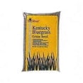 thumbnail image 1 of Seed Grass Kentucky Blue 25lb, 1 of 1
