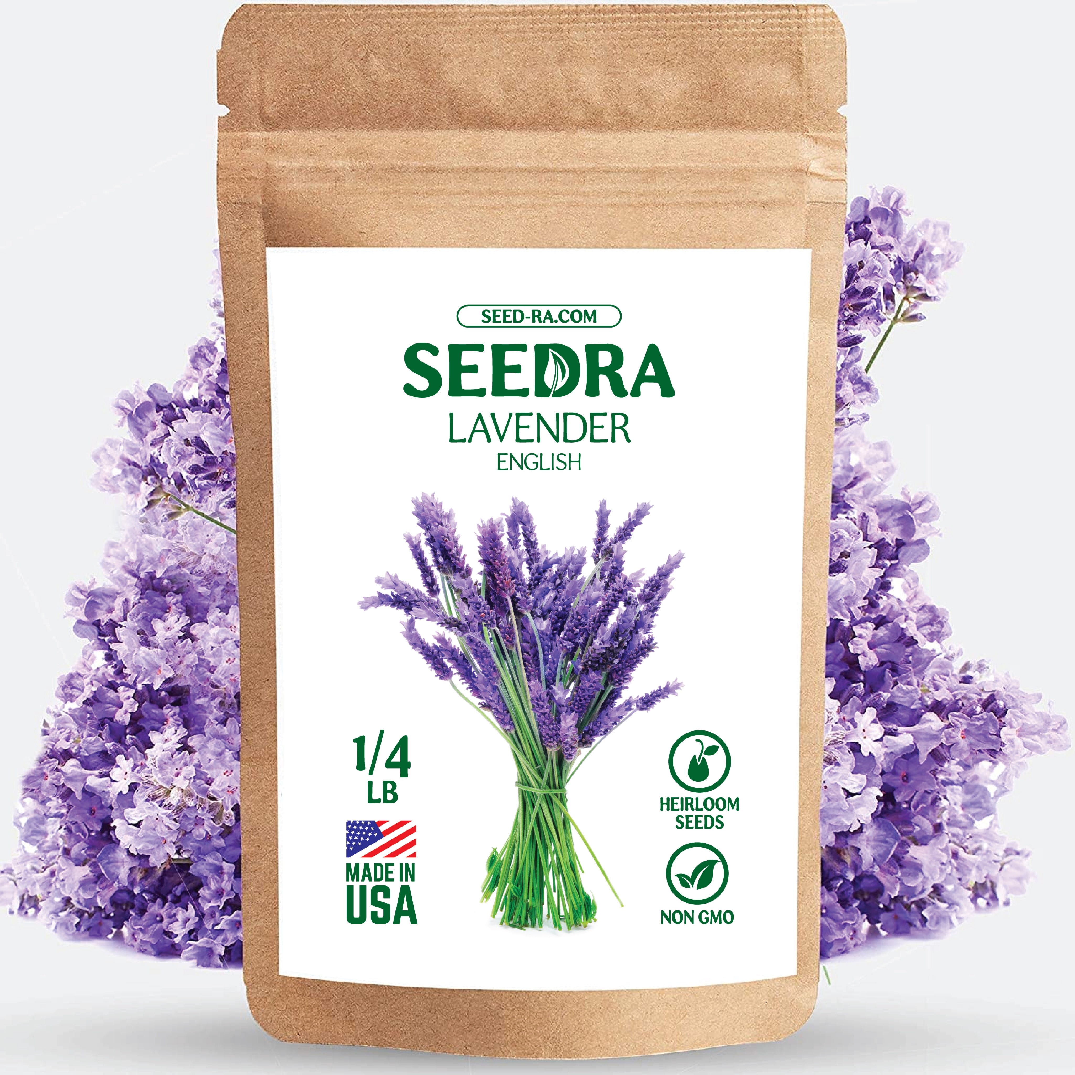SEEDRA.US English Lavender Seeds for Indoor and Outdoor Planting - 1/4 LB -  GMO-Free and Heirloom Seeds -Seeds in Bulk for Aromatherapy, Essential Oil  - Seeds for Wholesale - Walmart.com