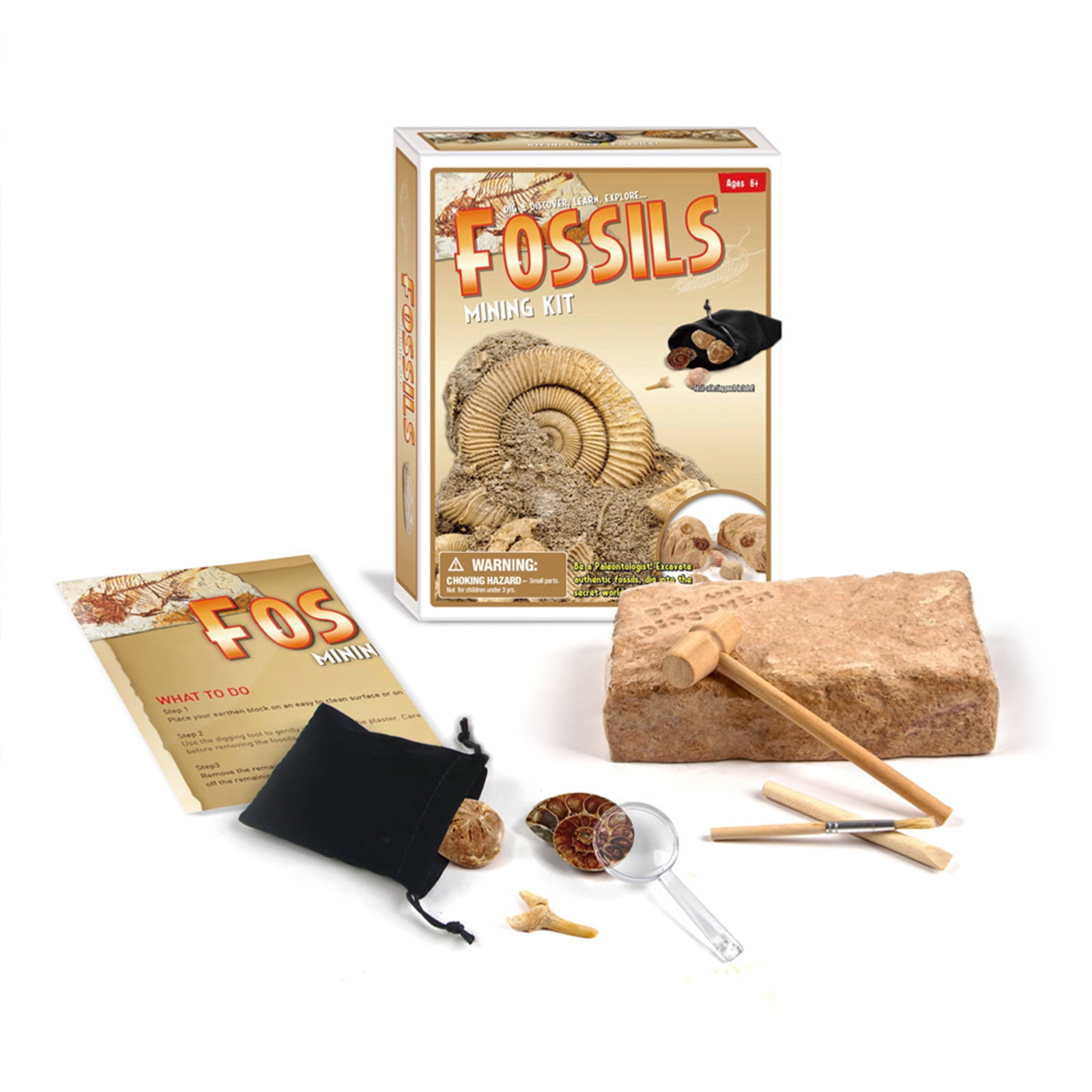 SEEKFUNNING Fossil Dig Set, 15Piece Archeology Excavation Kit, STEM