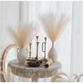 thumbnail image 1 of SEELOK 30 Pcs 17Inch Natural Dried Pampas Grass ，Fluffy Floral Pampas Grass Bouquet Reed Grass  for Vase Filler Farmhouse Home Wedding Decor (Beige), 1 of 5