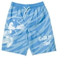 thumbnail image 1 of SEGA Sonic The Hedgehog Big Boys Swim Trunks Bathing Suit Blue/Gray 10-12, 1 of 5