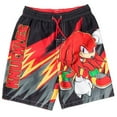 thumbnail image 1 of SEGA Sonic the Hedgehog Little Boys Swim Trunks Bathing Suit Blue 4, 1 of 5