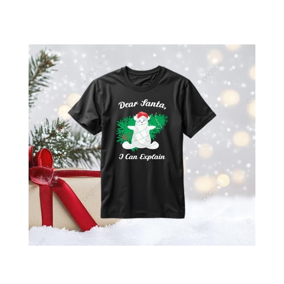 SEIKEMS Dear Santa I Can Explain Tee - Funny Christmas Unisex Cotton Top