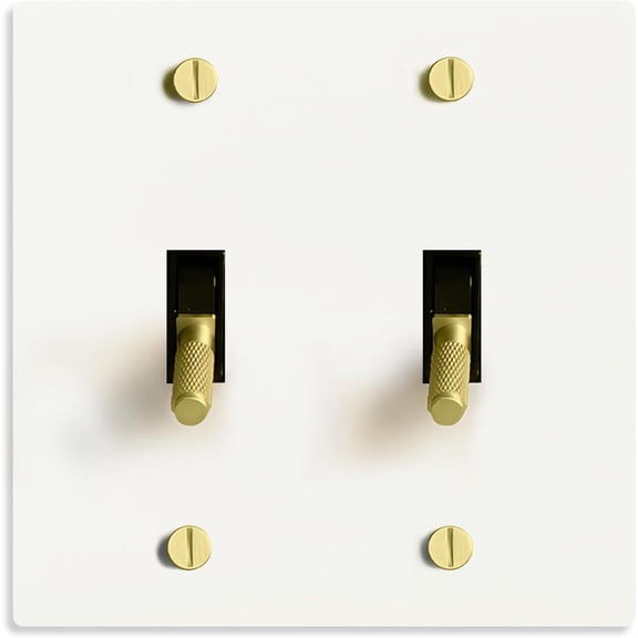 SELECT 15A 120V AC 2-Gang Toggle Switch, White with Solid Brass Vintage Style Single Pole 3 Way Compatible Wall Mount Toggle Switch, Included Faceplate & Switch Module, UL Listed