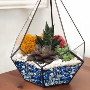 SELIVO 2026 New Cactus Pea Gravel Rocks,Pebbles for Indoor Plants,Natural Succulent Rock and River Rocks Decorative for Aquariums,Terrarium,Outdoor Gardening,Top Dressing for Potted Plants,1Pc,Stone