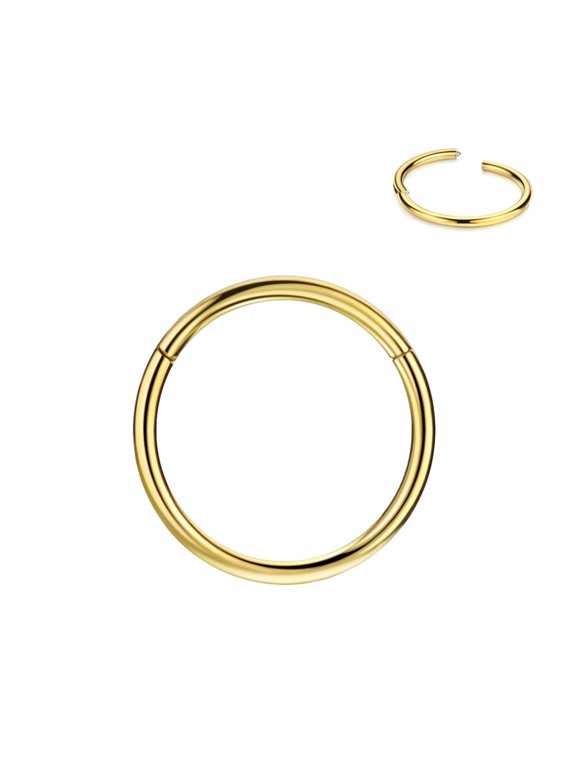 Hinged Cartilage Earring Hoop 16g 9mm Piercing Earring Hoop for Rook Daith Tragus 16 Gauge Surgical Steel Cartilage Hoop Seamless Hinged Surgical Steel 16 Gauge Earrings