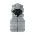 thumbnail image 1 of SELONE Kids Boy Vest Hooded Zipper Solid Sleeveless Fall Winter Outfit Gray 6 Years, 1 of 3