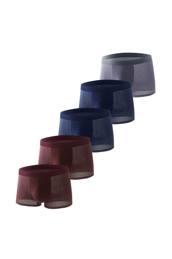 Men's Boxer Briefs Short Trunks Pouch Mesh Plus Size Breathable Bikini Boxers Ice Silk Everyday Underwear 5 Pack Red XL