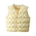 thumbnail image 1 of SELONE Toddler Vest Girls Button Solid Sleeveless Fall Winter Coats Multicolor 2 Years, 1 of 5
