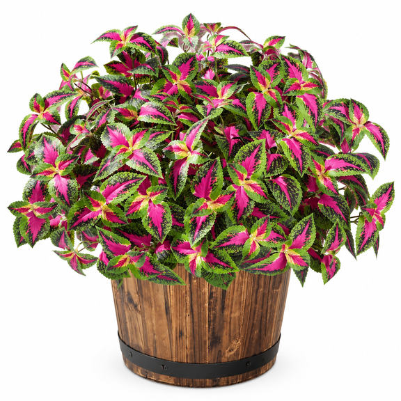 SELVORIA Artificial Coleus Plants Outdoor, 5 Pcs Uv Resistant Faux Silk Greenery with Stems, Fake Plant for Outside Porch Planters Garden Patio Hanging Pathway Decor (Red)