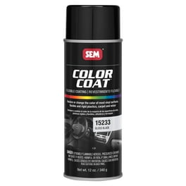 Spray Max 2K High Gloss Finish Clear Coat Spray Paint Car Parts and Repair