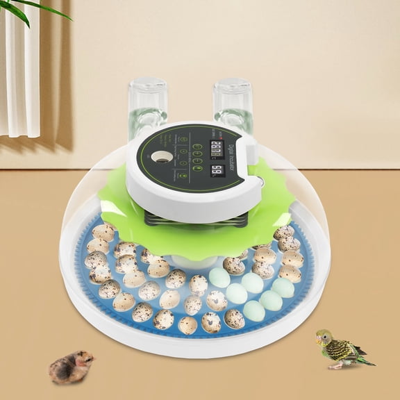 SENDERPICK Modern LED Quail Egg Incubator for Hatching 60 Quail Eggs, Small Quail Brooder