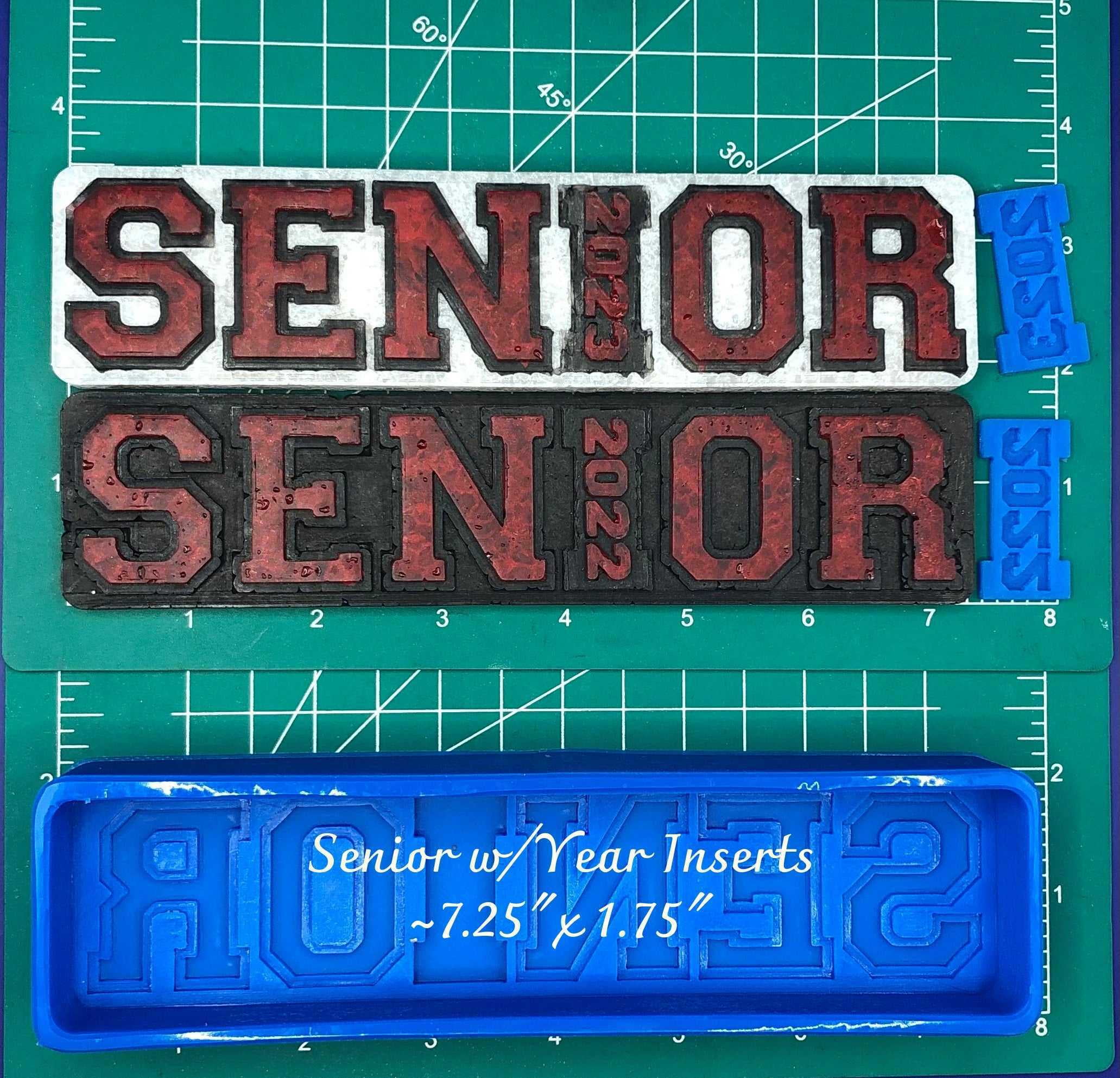 SENIOR with year insert Silicone Freshie Mold
