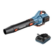SENIX X6 60 Volt Max Handheld Cordless Leaf Blower, Up to 810 CFM and 170 MPH, Variable Speed, Cruise Control, Lightweight, Includes 4.0 Ah Battery and 3 Amp Charger BLAX6-M1