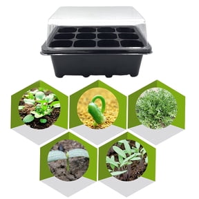 SENRISE Propagation Box Kit Plants Growing Seedling Nursery Pot 12 Holes Reusable Plastic Black